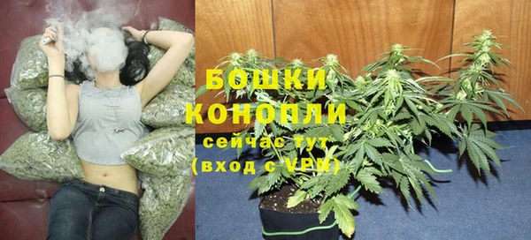СК Арсеньев