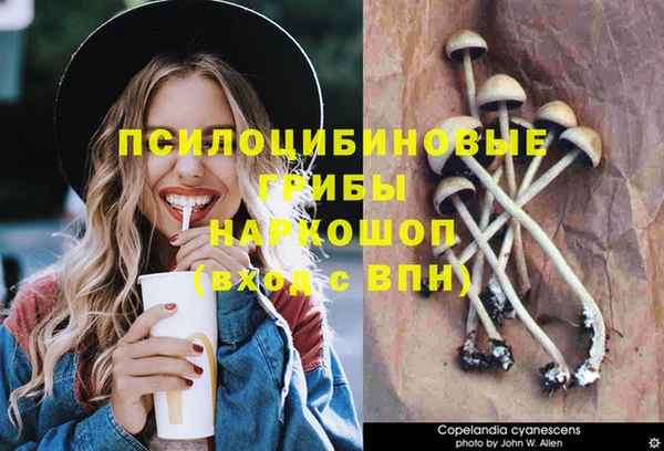 каннабис Аркадак
